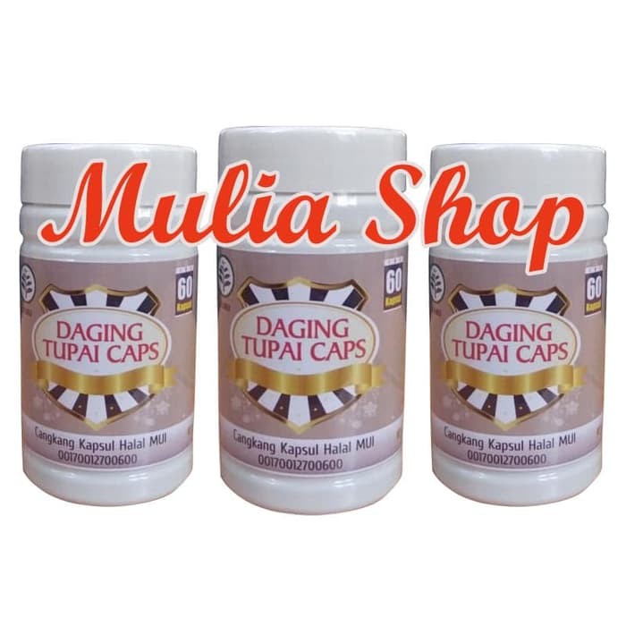 Kapsul Daging Tupai (Diabetes)   DHEBONK DAE 0091
