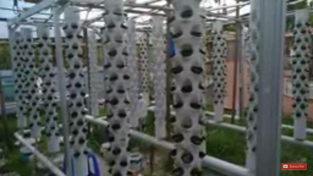 Media Tanam Hidroponik Rockwool Merk Cultilene Asli Ukuran 21 X 15 X 7.5 Cm 1/8 Slab Rockwoll