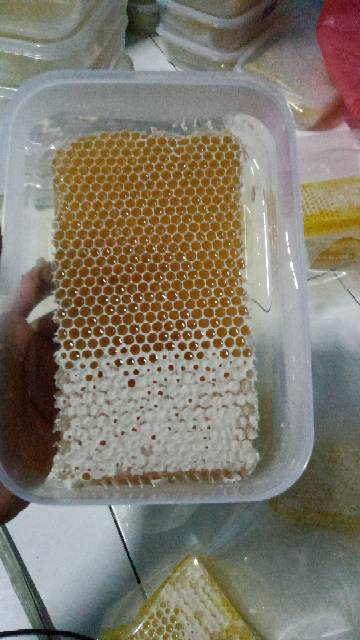 GROSIR Paket Hemat Kemasan 1 KG Madu sarang sarang madu melifera honeycomb madu liar madu asli madu