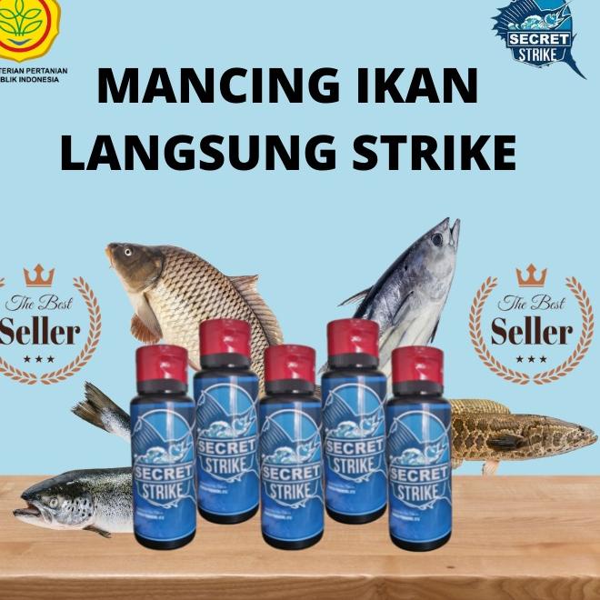 Bagus Banget.. SECRET STRIKE Essen 3x Lebih Cepat Strike Umpan Pancing Jitu Minyak Ikan Hiu Tikus Ge