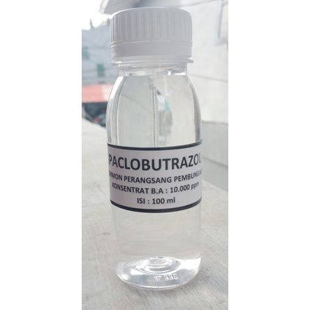 hormon murni paclobutrazol