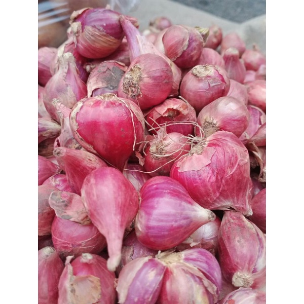 

bawang merah Brebes besar dan super segar 500g