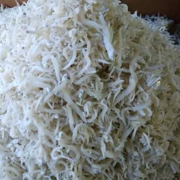 

limited Edition✔️TERI NASI TERI MEDAN 250GR UKURAN KECIL KUALITAS BAIK|SQ5
