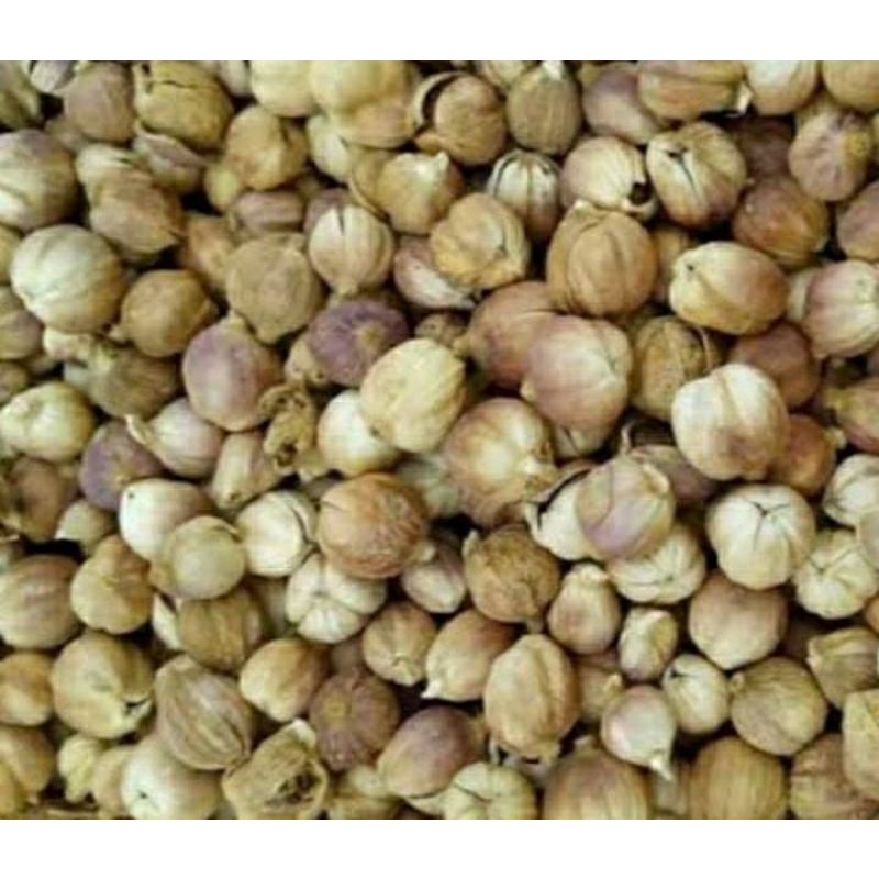 

100g REMPAH kapulaga jawa asli pak tani/rempah murah