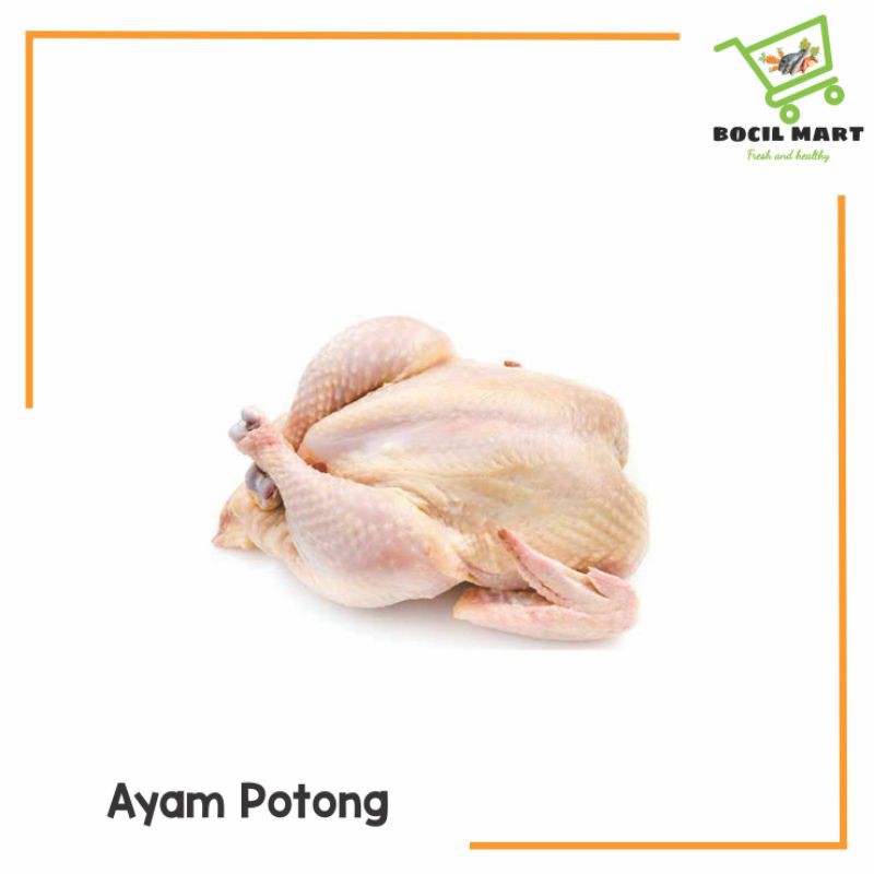 

AYAM UTUH TANPA KEPALA JEROAN DAN CEKER 1 EKOR BOCIL MART