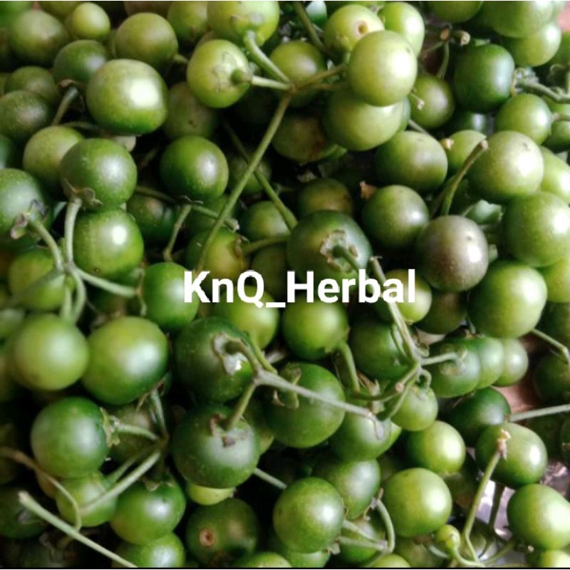 Leunca Super Segar Ranti Original 1kg