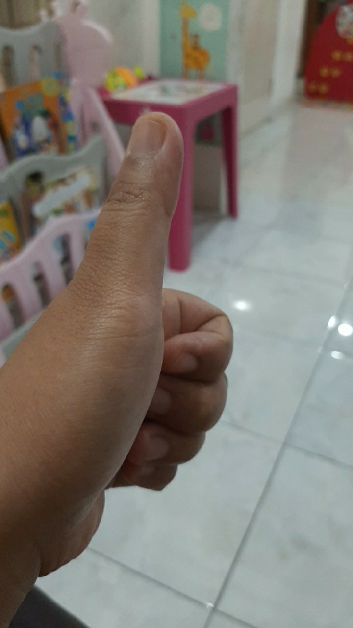 Oemah Kajoe Kapstok Gantungan Kunci Keys Spatula Serbet Hanger