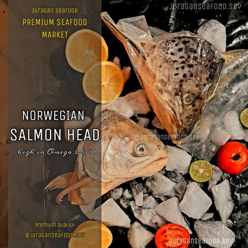 

kepala ikan salmon