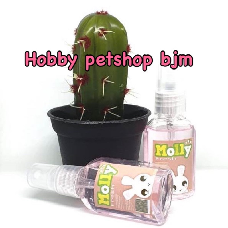 Parfum molly 30ml - Anti bakteri jamur Parfume kucing kelinci anjing hewan cat