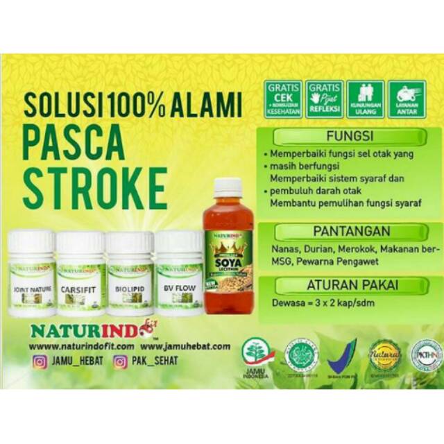 paket stroke obat herbal pasca stroke lumpuh susah bicara naturindo