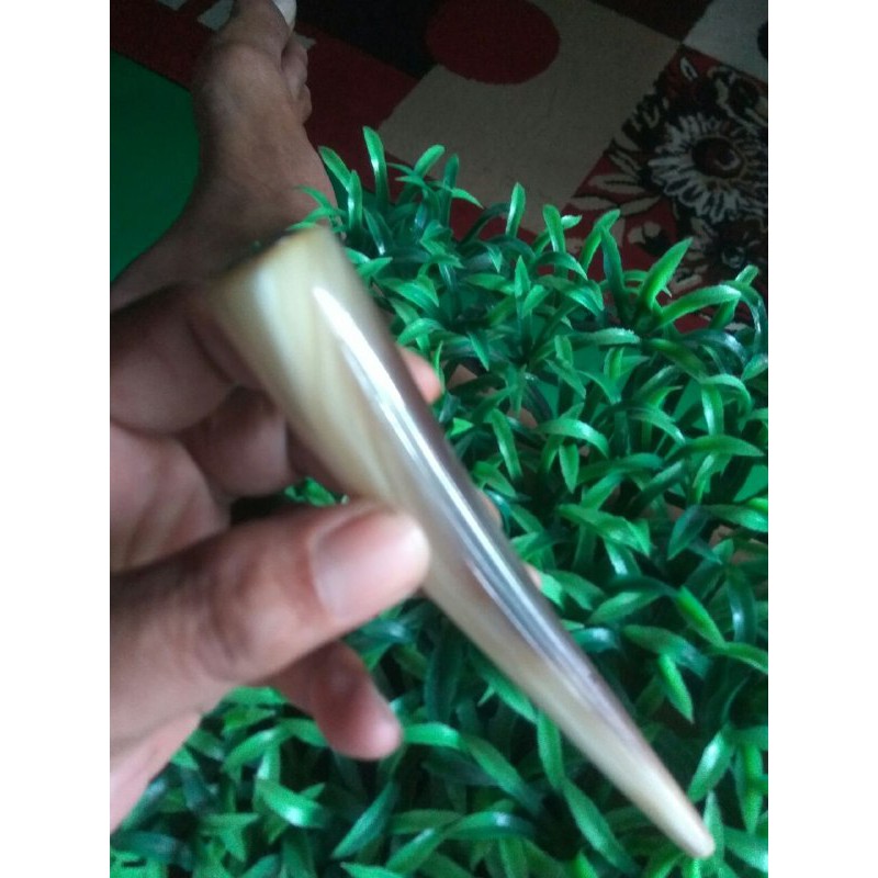 pipa rokok tanduk bule