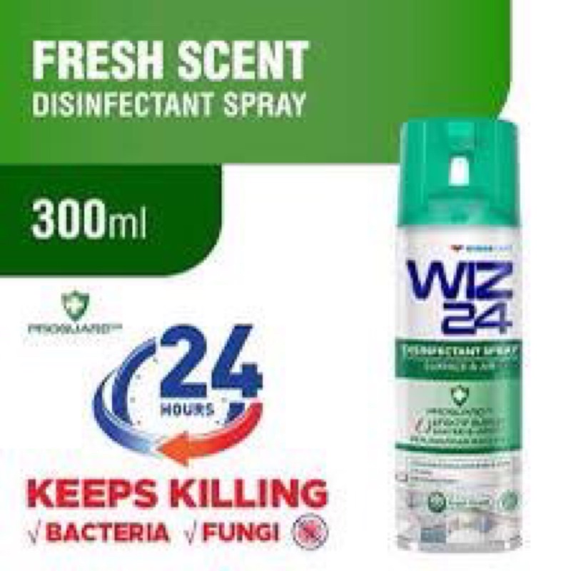 wiz 24 disinfectant 300 ml