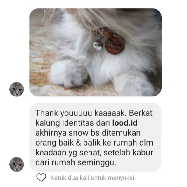 KALUNG KUCING NAMA CUSTOM DAN NO HP LONCENG LUCU BAHAN KULIT ASLI MODEL SLOP - LIONTIN KEPALA KUCING