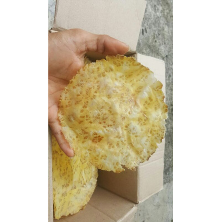 

Kerupuk Jengkol Mentah 500g