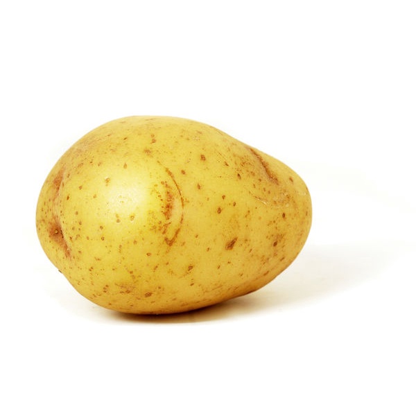 seal engkol beat 2020 beat esp genio ori