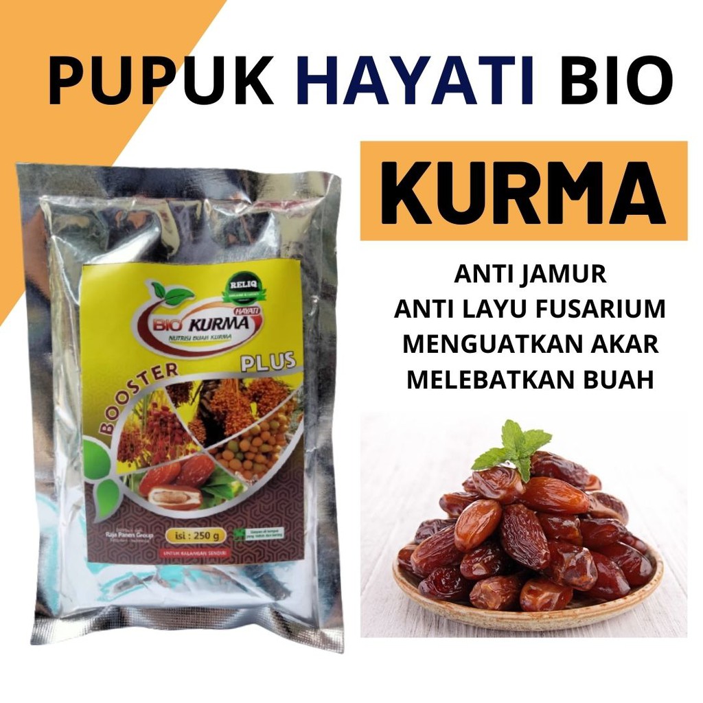 Pupuk Booster Kurma, Pupuk Buah Agar Cepat Tumbuh Besar, Pupuk Hayati Untuk Pohon Kurma - RELIQ BIO