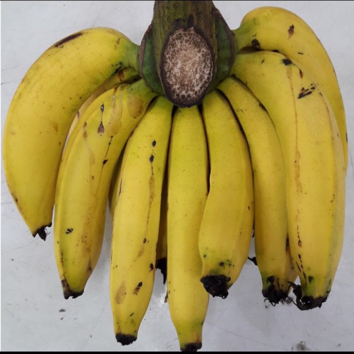

pisang Ambon curah 1sisir/pisang manis
