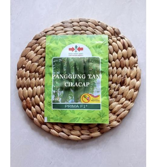 Paling Sesuai.. Benih Gambas/Oyong PRIMA F1 - PRIMA VERA F1 (BUAH SAMA BEDA NAMA BARU) / Termurah Or