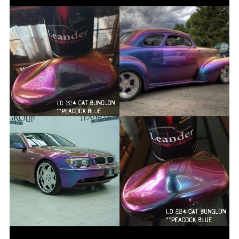 cat bunglon  5 warna