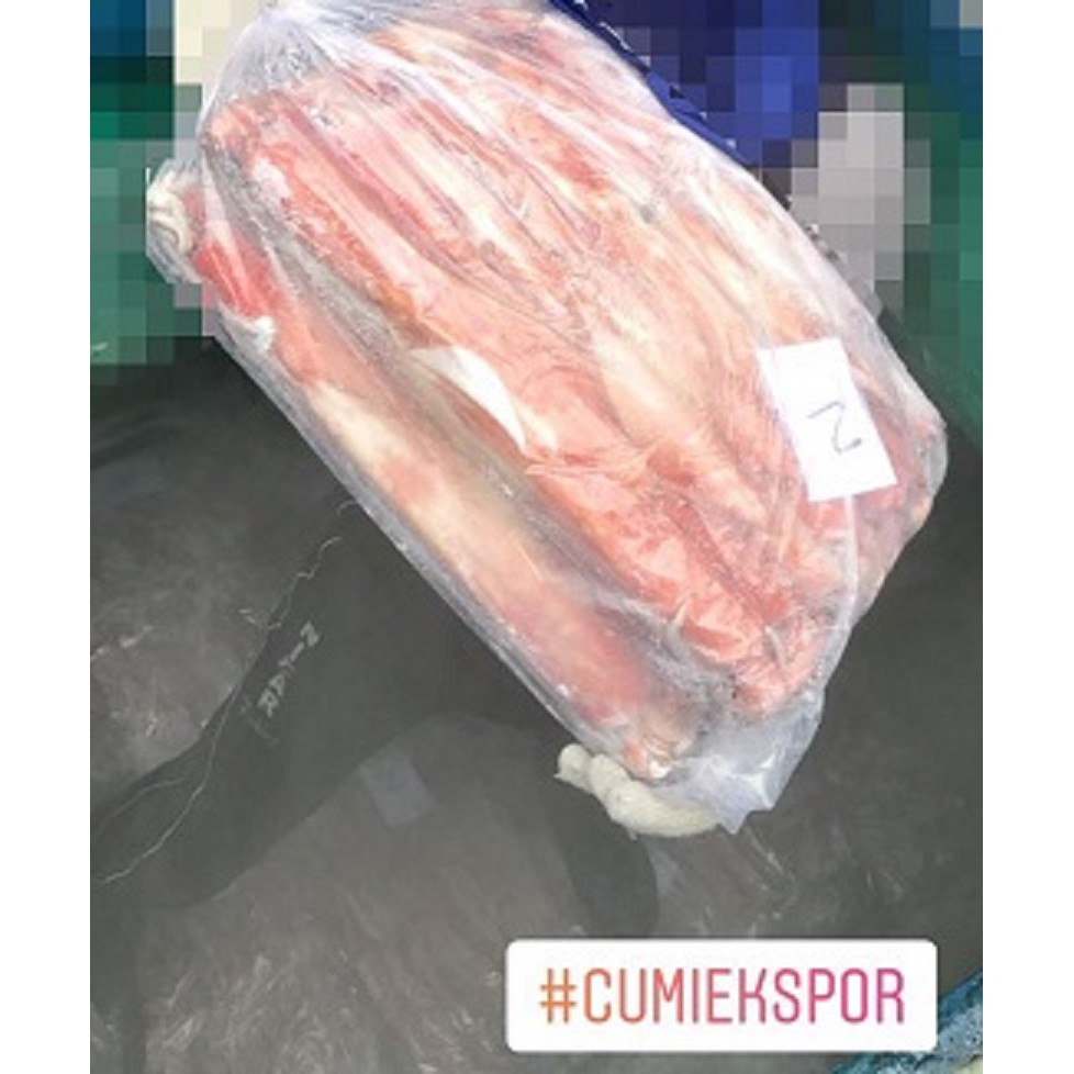 

cumi tinta frozen eksport size jumbo