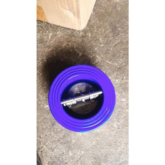

2 Inch Wafer Check Valve C/I