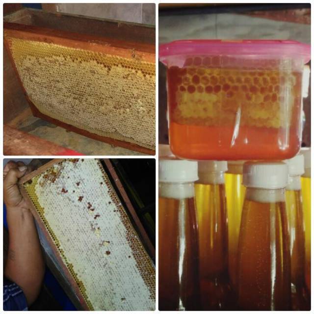 

Madu asli