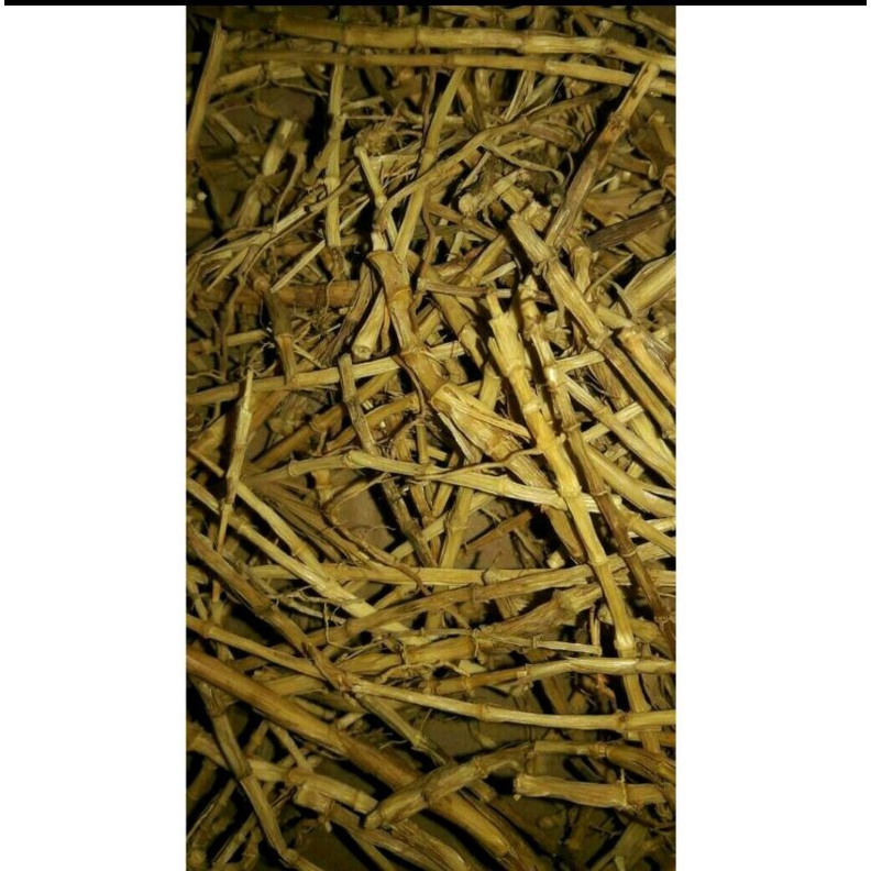 

600 G GR GRAM ALANG ALANG KERING BAI TANG MAO GEN
