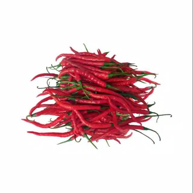Repack Benih Biji Bibit Cabe Merah Keriting LADO F1 10 biji
