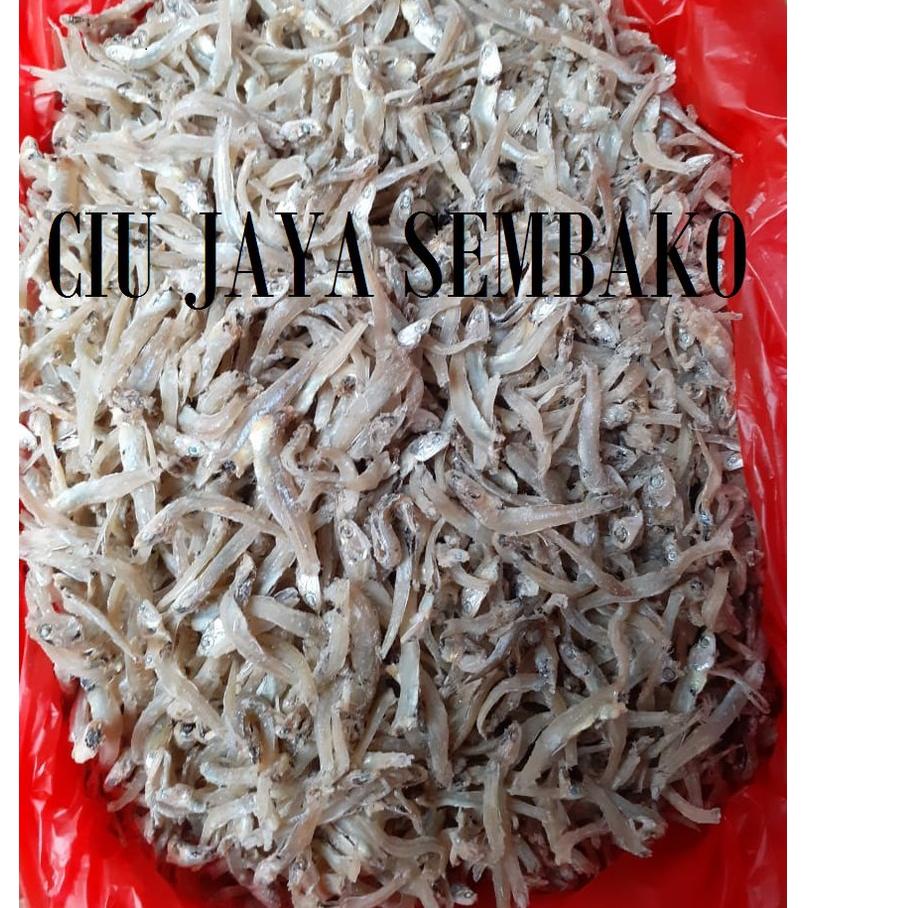 

Special IKAN TERI PONTIANAK / TERI KALIMANTAN / IKAN TERI ENAK / IKAN TERI