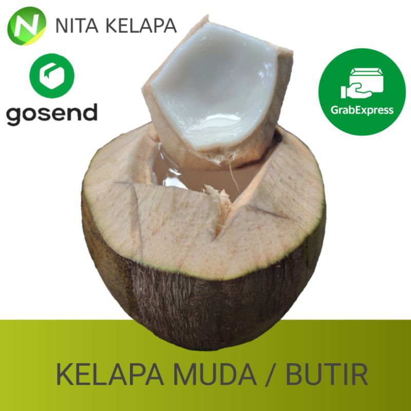 

Kelapa Muda Segar Utuh Murah Perbutir PAPAS ATAS