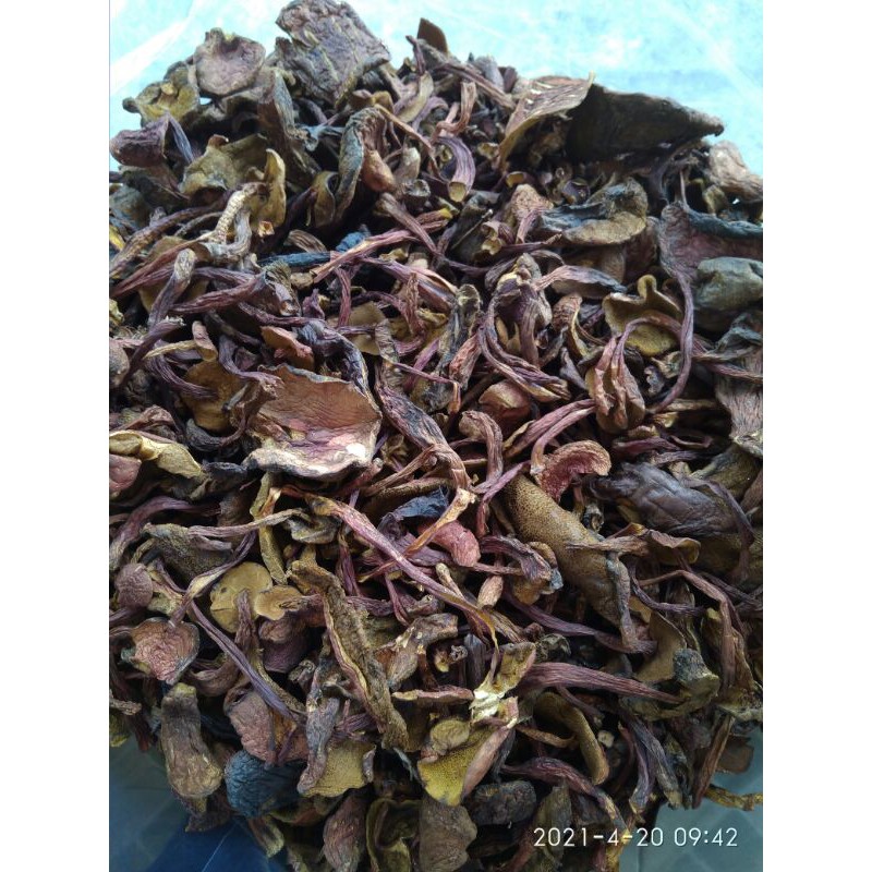 

Kulat/Jamur Tiung Kering 1Kg