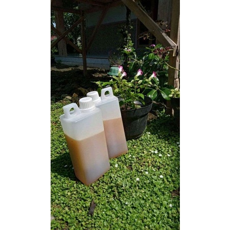 

madu randu murni