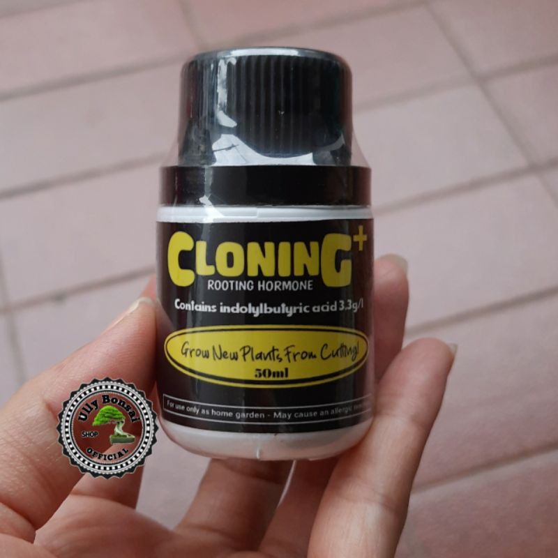 ROOT UP CLONNING PLUS - PERTUMBUHAN AKAR