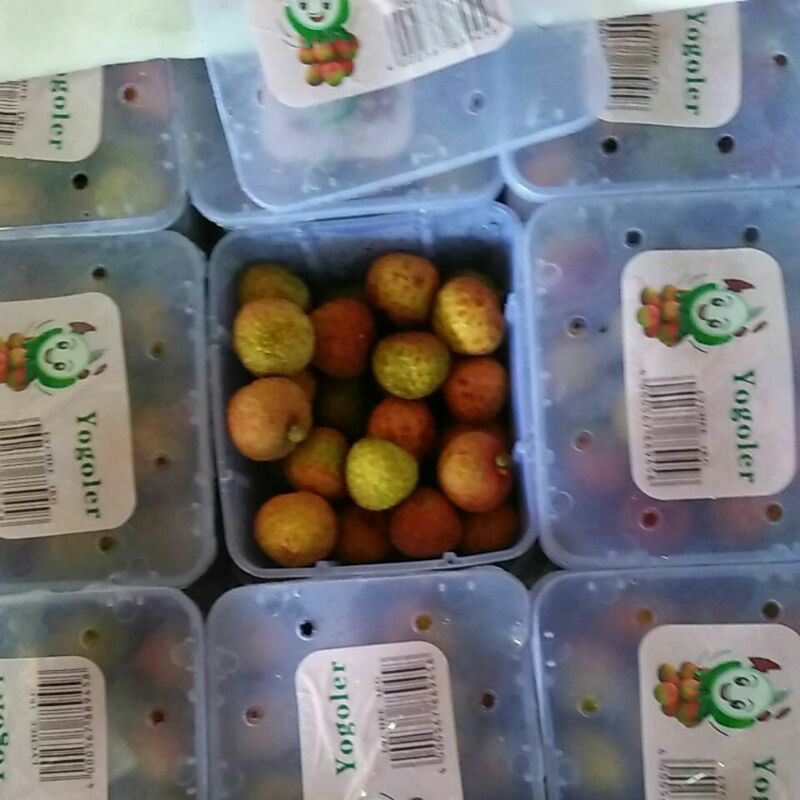 

LECYY MADU SUPER 1feck 1kg