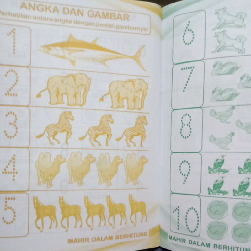 Buku Mahir Dalam Berhitung Paud Tk