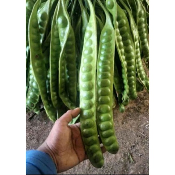 

Pete super, masakan favorite
