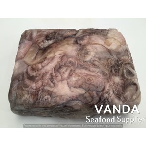 

Baby Octopus Frozen @ 1kg