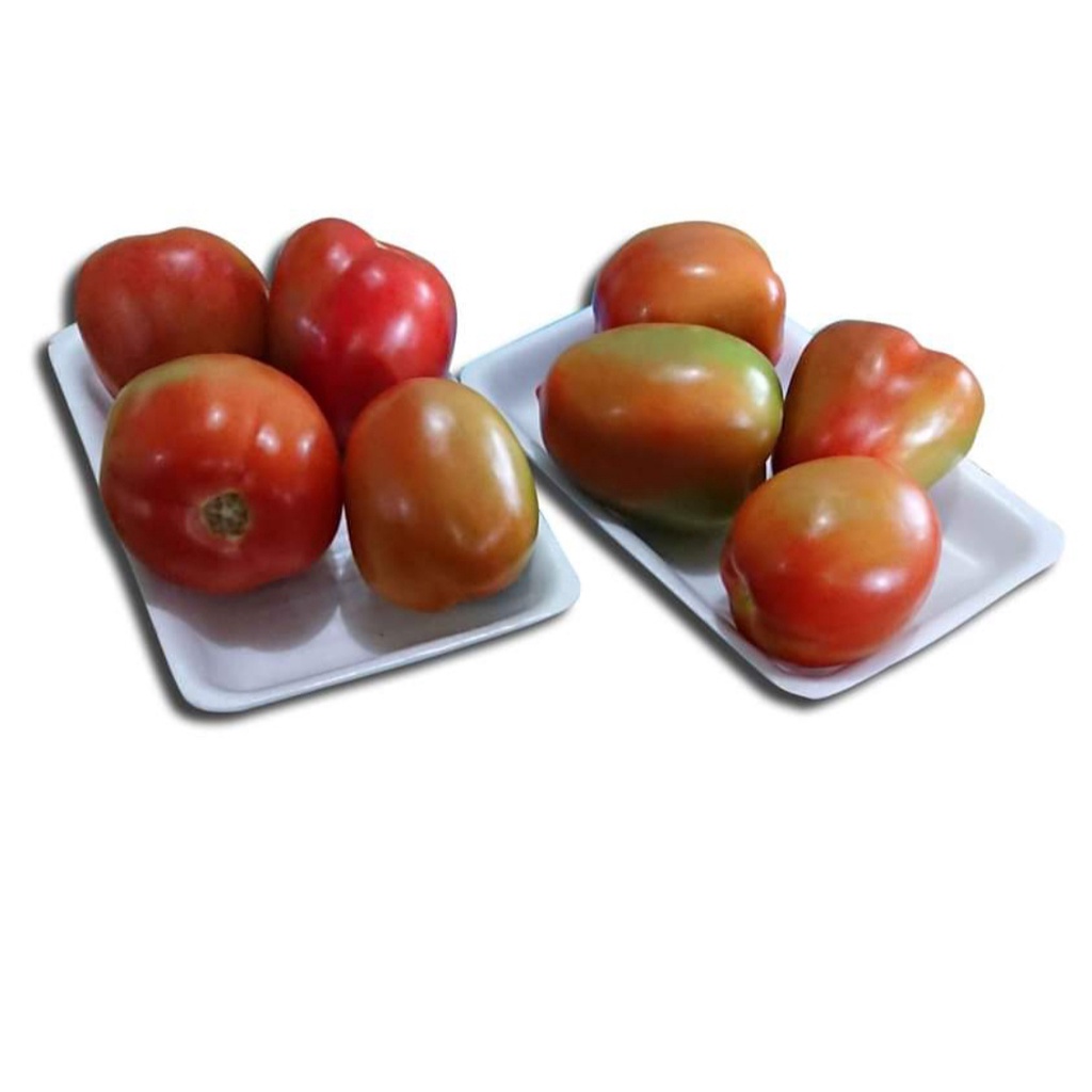 

[ PER 500 GRAM ] BUAH TOMAT SEGAR TOMATO