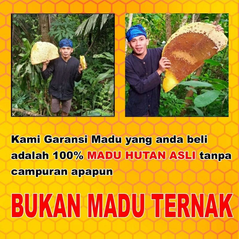 Madu Hutan Asli - Madu Manis Khas Suku Baduy - Madu Odeng Murni 100% - Madu Odeng - Madu Asli Baduy 100% Original Premium - Madu Asli Baduy Murni - Tanpa Campuran 100% Original - Madu Asli Hutan Baduy - Madu Murni 100% Original