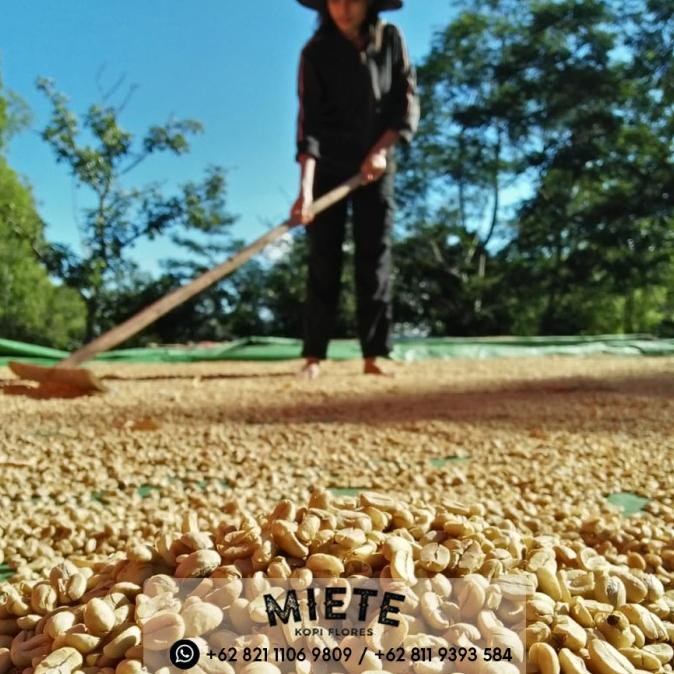 

Green Bean- Kopi Flores - Manggarai - Grade 1