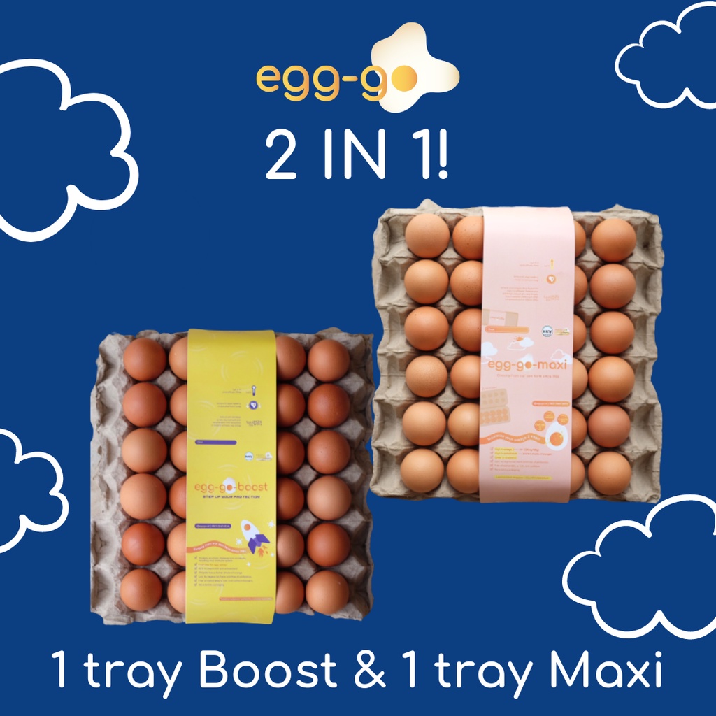 jual-egg-go-2-in-1-tray-boost-maxi-shopee-indonesia