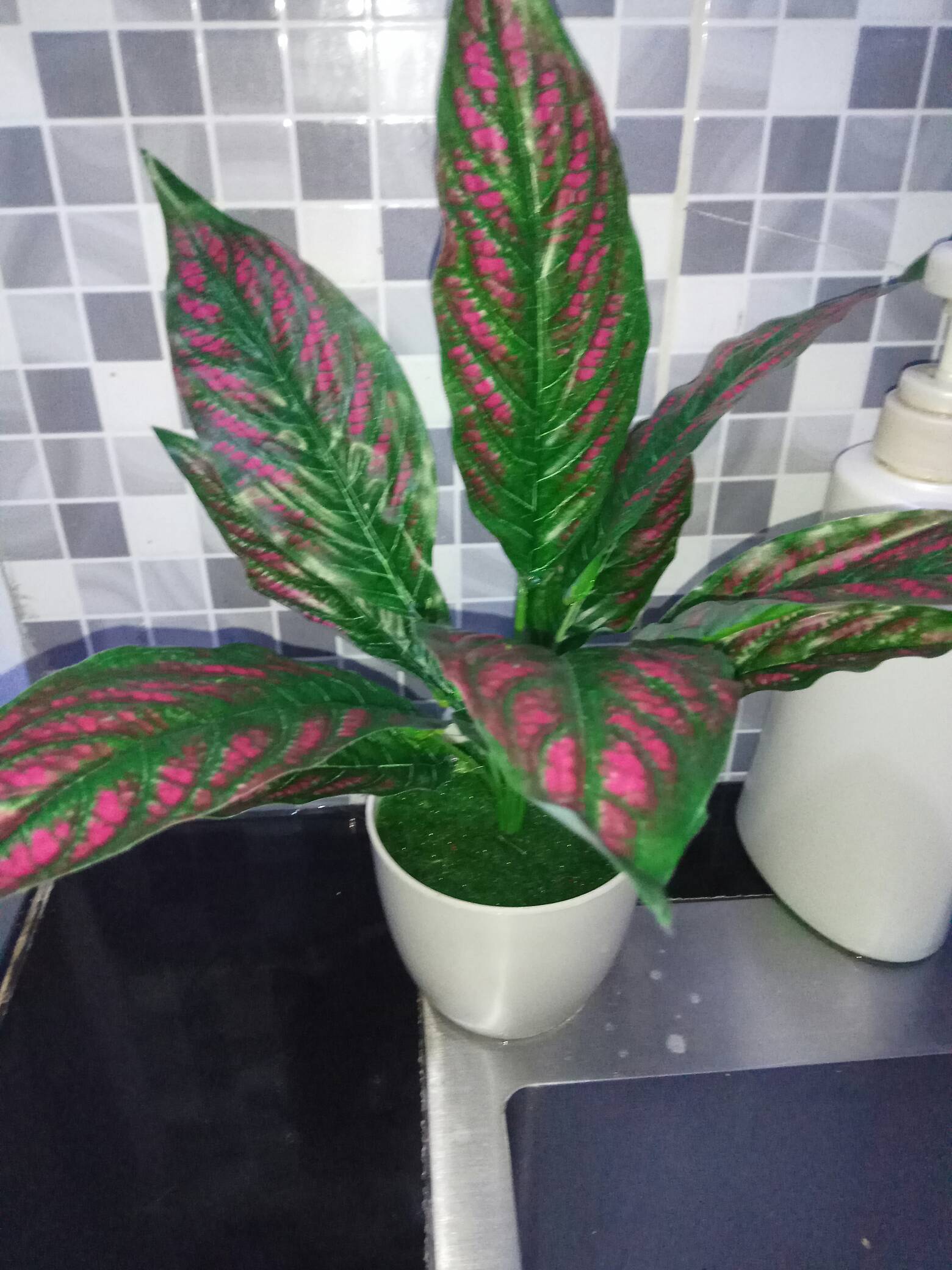 Vas Bunga Plastik Dengan Busa Dan Lumut Vas Bunga Dekorasi Vas Plastik Vas Bunga Oval