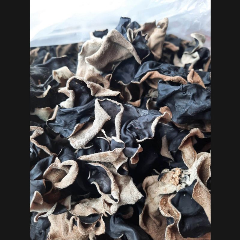 

JAMUR KUPING HITAM KERING GRADE A PREMIUM 100 gram