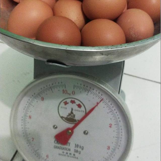 

Telur ayam merah