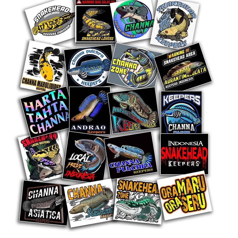 [PRODUK WTBPE] stiker ikan predator channa isi 20 buah sticker chana setikar snakehead bogo auranti 