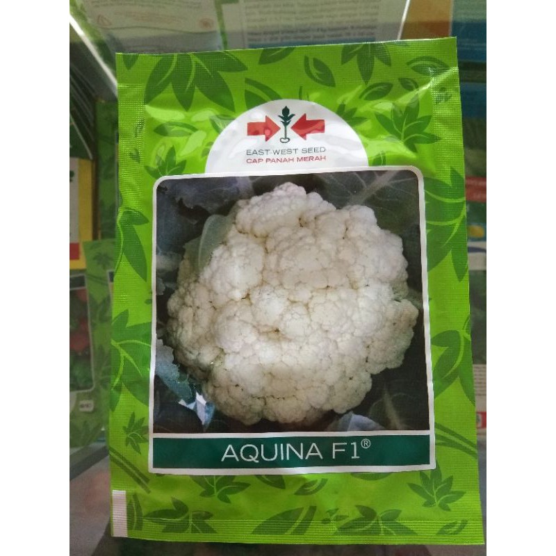 Benih Bunga kol Aquina 10gr