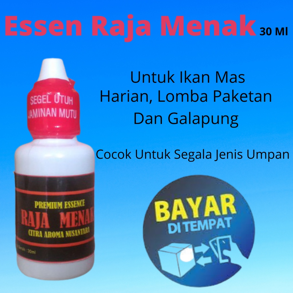 Esen Rajamenak | Essen Raja Menak Untuk Lomba Ikan Mas