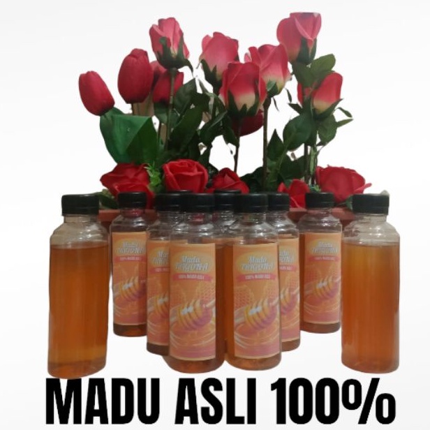 

Madu Asli 100% Murni langsung dari sarang / Madu Trigona / Madu Kelulut