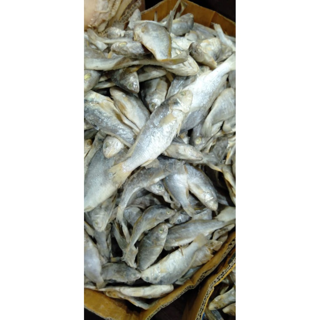 

Ikan Asin Kepala Batu Bulat Toserba Medan