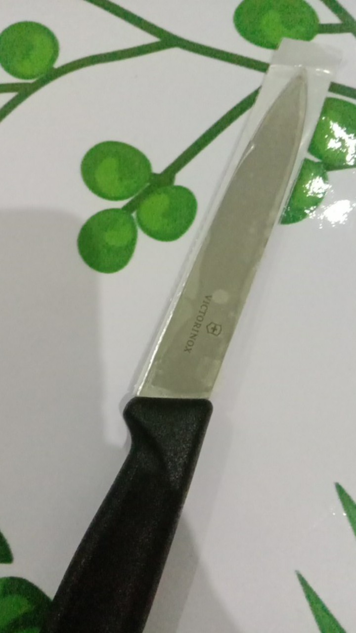 Pisau Dapur 10cm Victorinox Gagang Lengkung Diujung Gagangnya